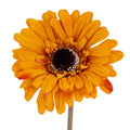 Orange Gerbera Stem