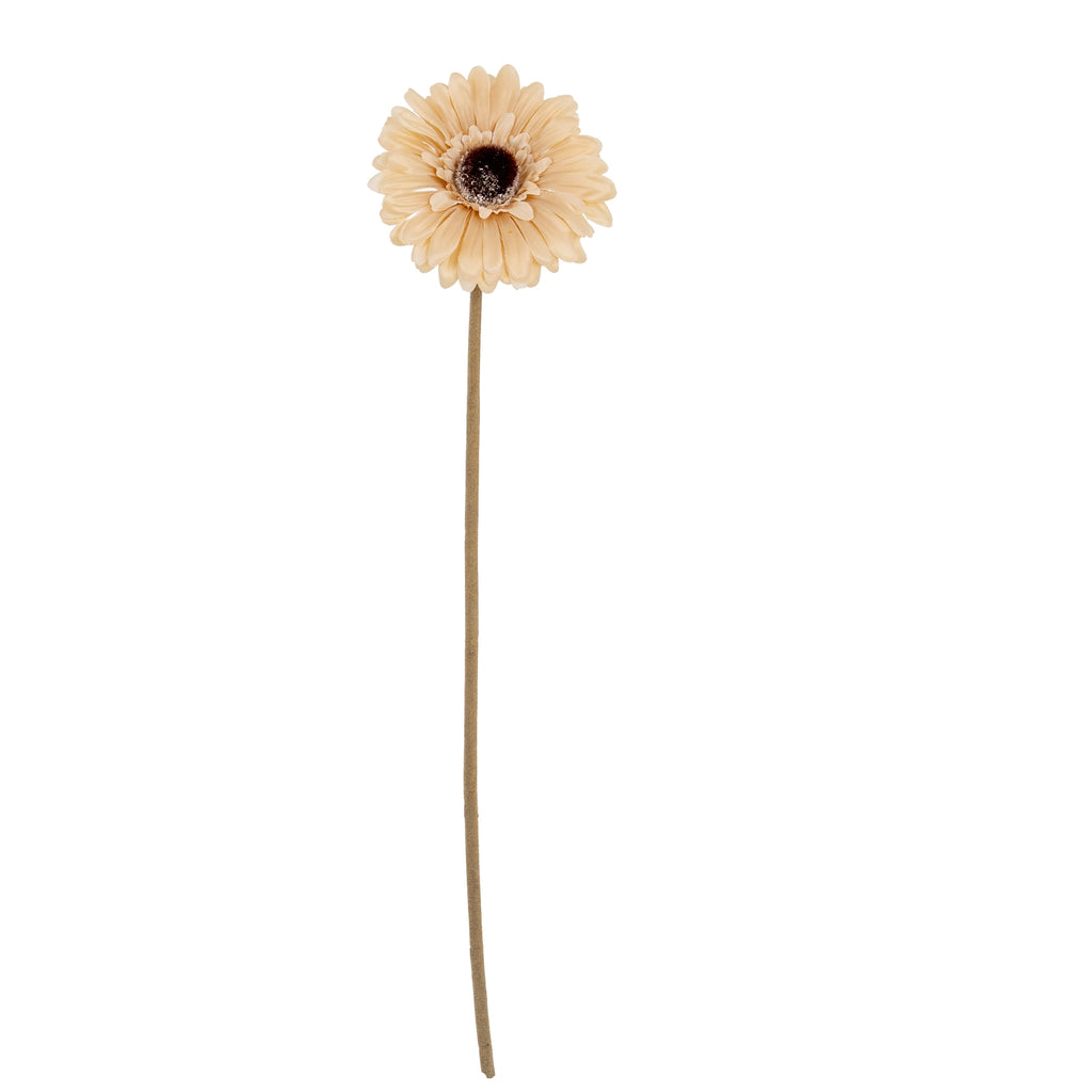 Cream Gerbera Stem - Cream