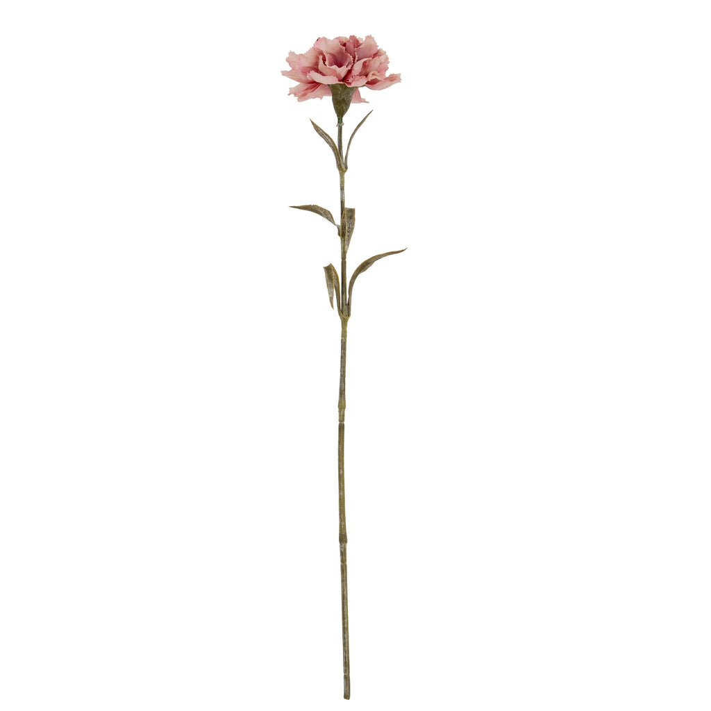 Pink Carnation Stem - Pink