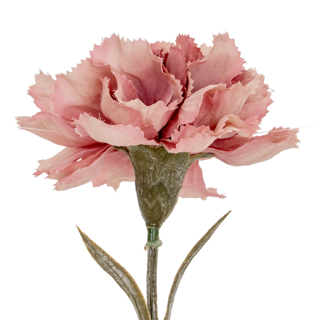 Pink Carnation Stem - Pink