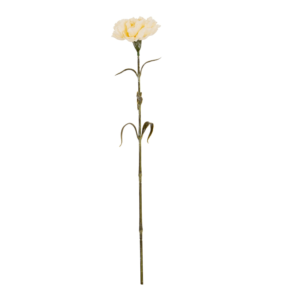 Cream Carnation Stem - Cream