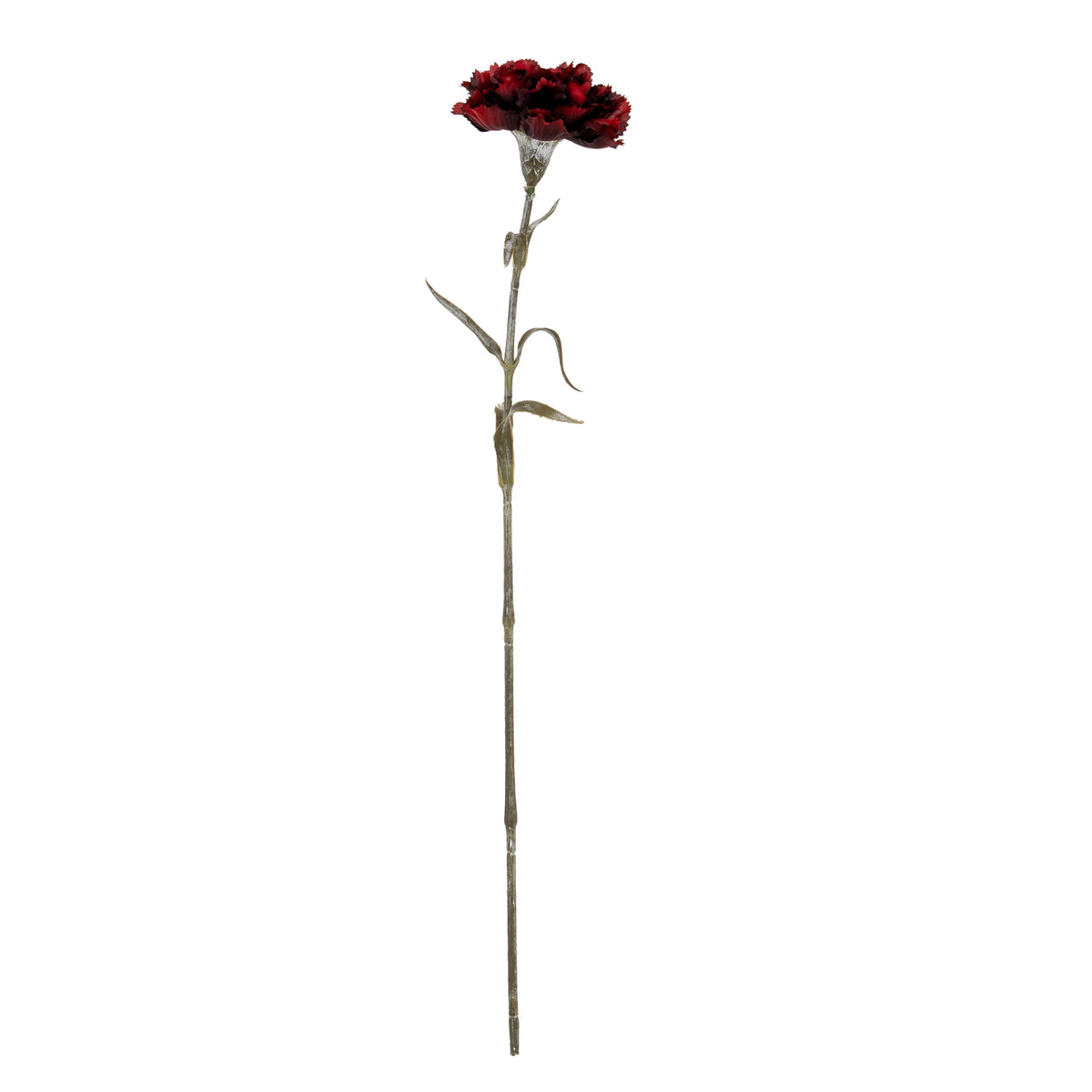 Burgundy Carnation Stem - Burgundy