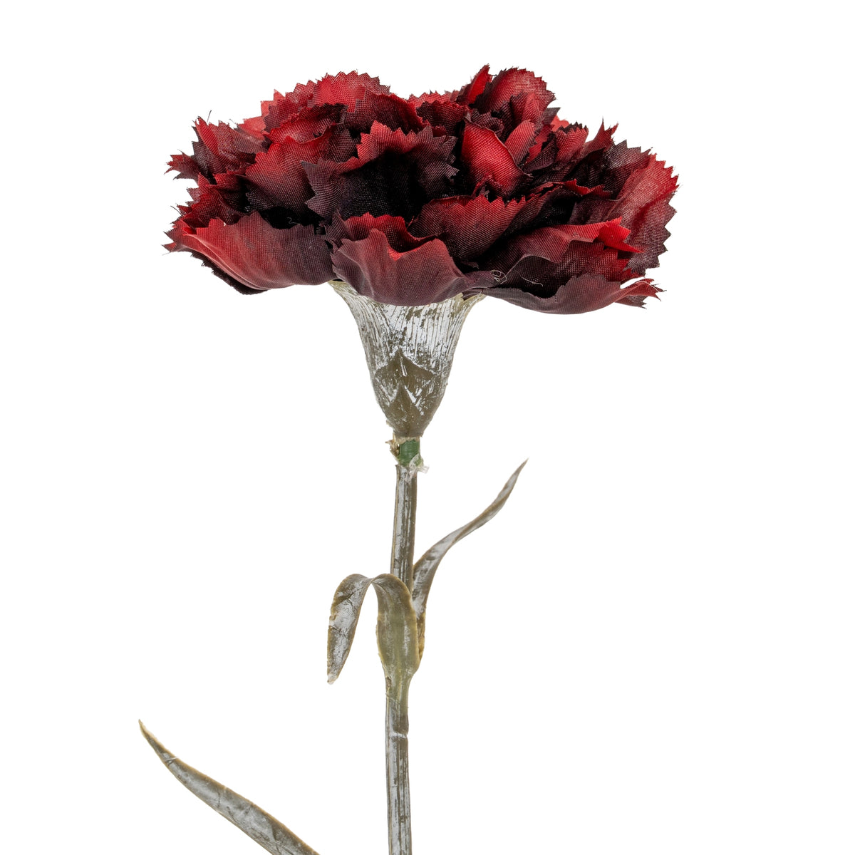 Burgundy Carnation Stem - Burgundy