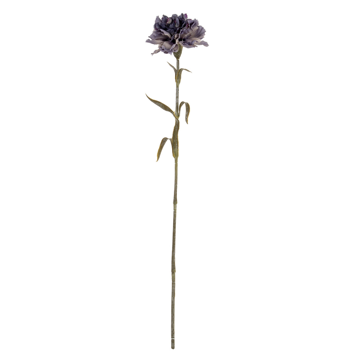 Purple Carnation Stem - Purple
