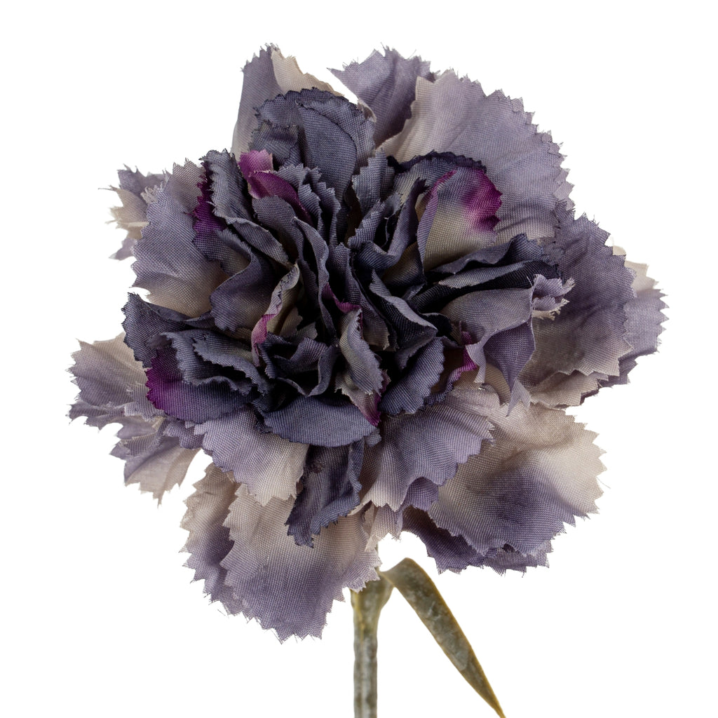 Purple Carnation Stem - Purple