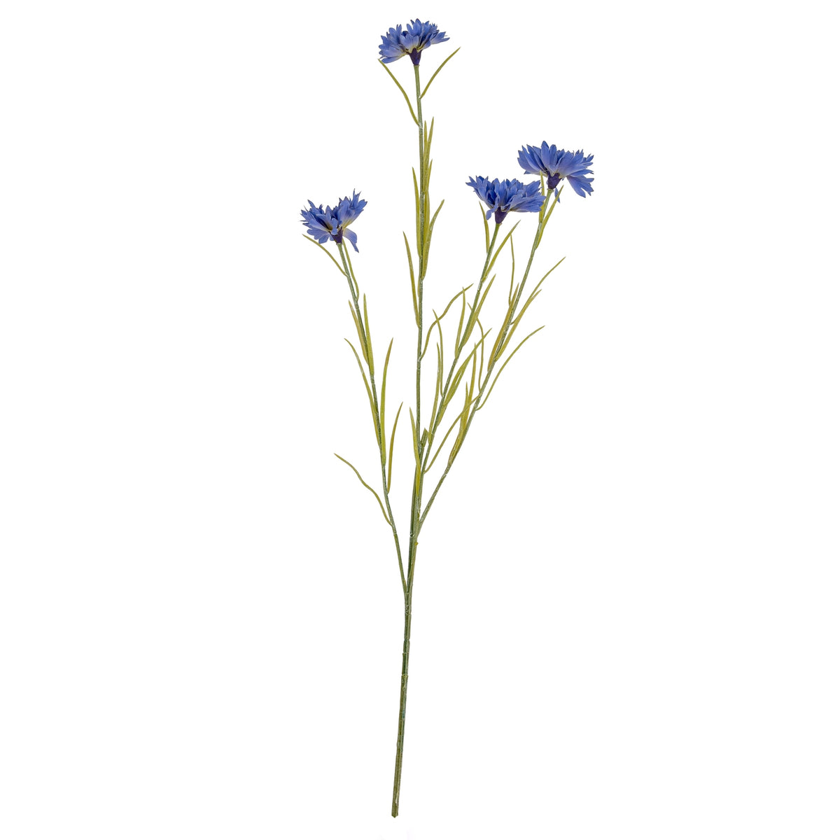 Blue Cornflower Stem - Blue