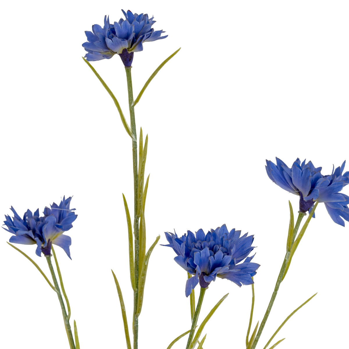Blue Cornflower Stem - Blue