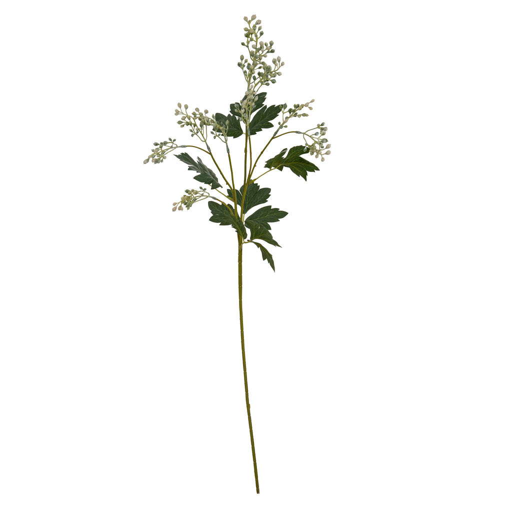 Milk Thistle Bud Spray - Green