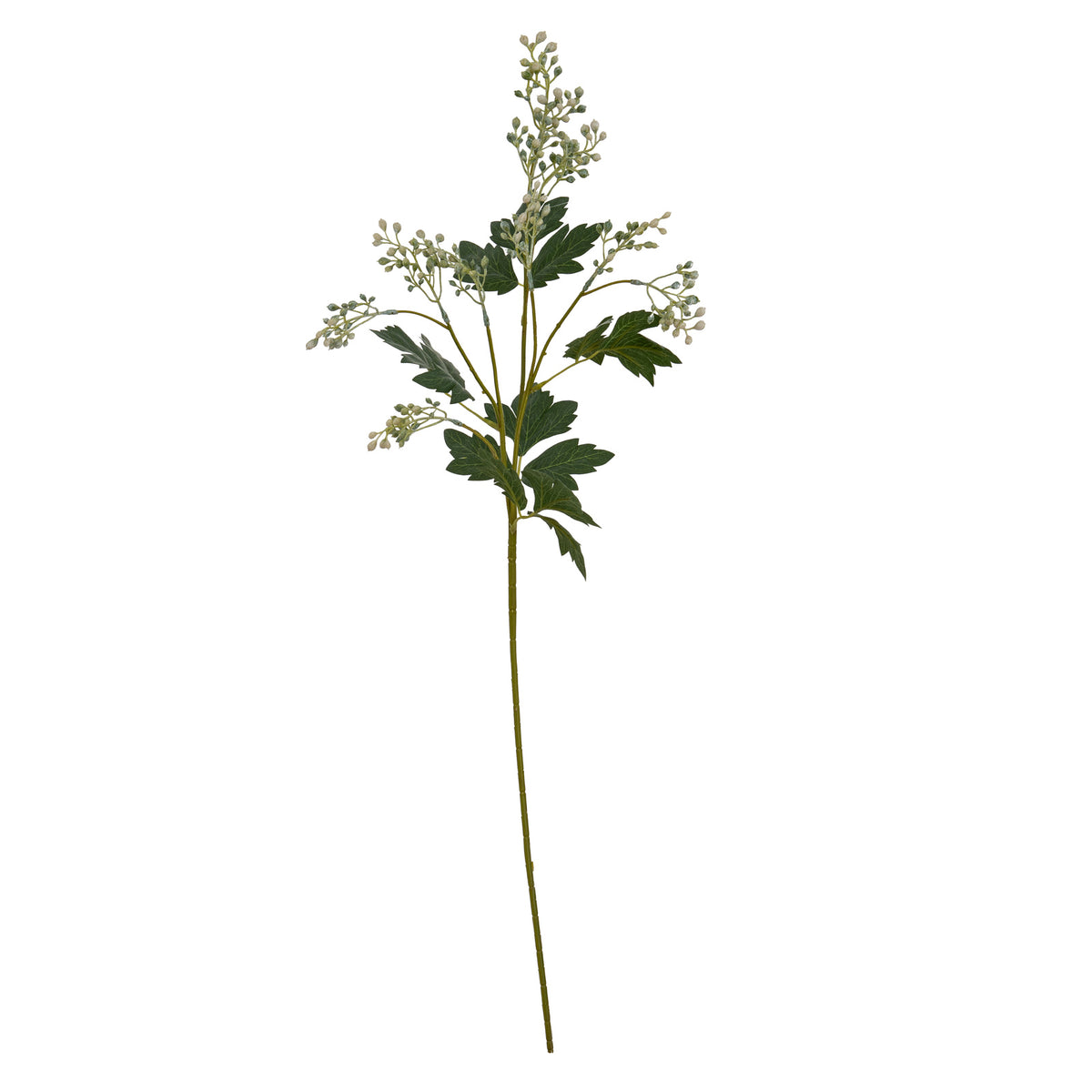 Milk Thistle Bud Spray
