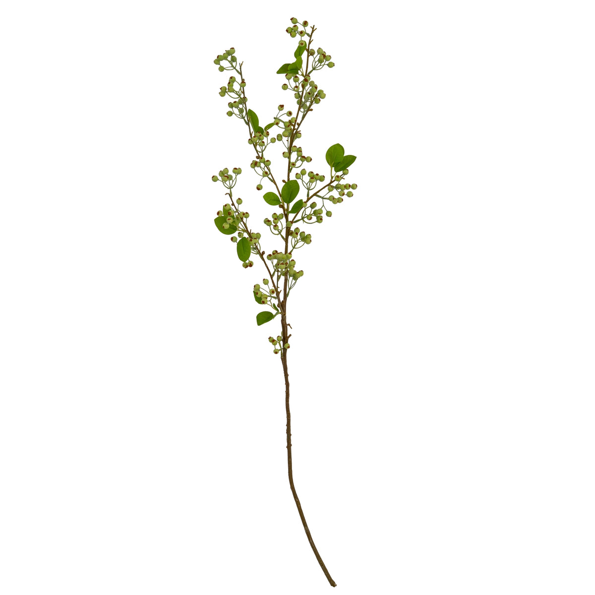 Green Mossberry Large Branch - Green
