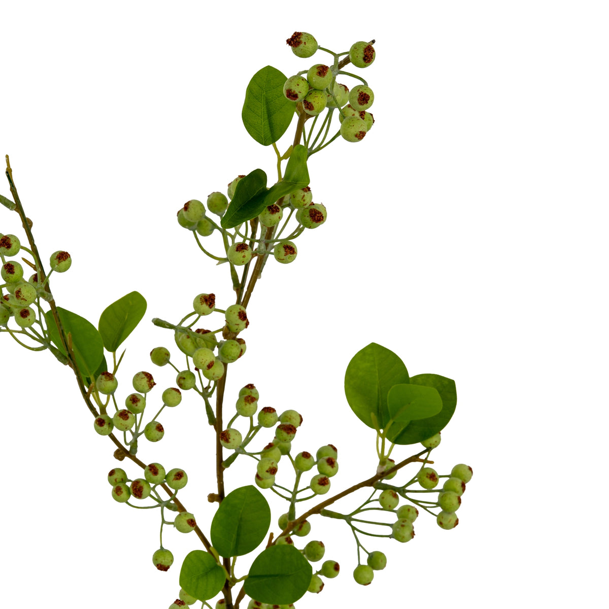 Green Mossberry Large Branch - Green