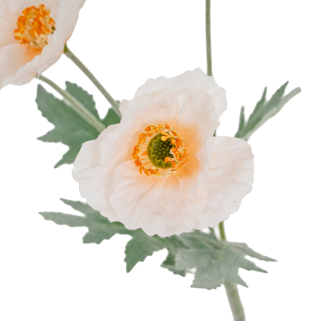 Cream Papaver Poppy Spray