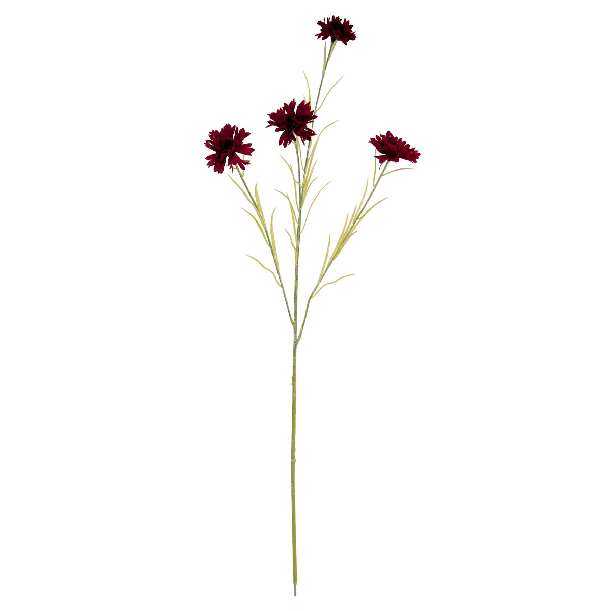 Burgundy Cornflower Stem - Burgundy
