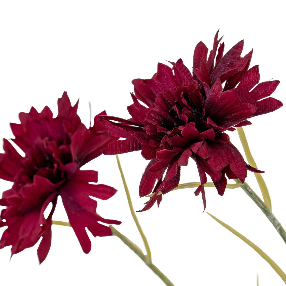 Burgundy Cornflower Stem - Burgundy