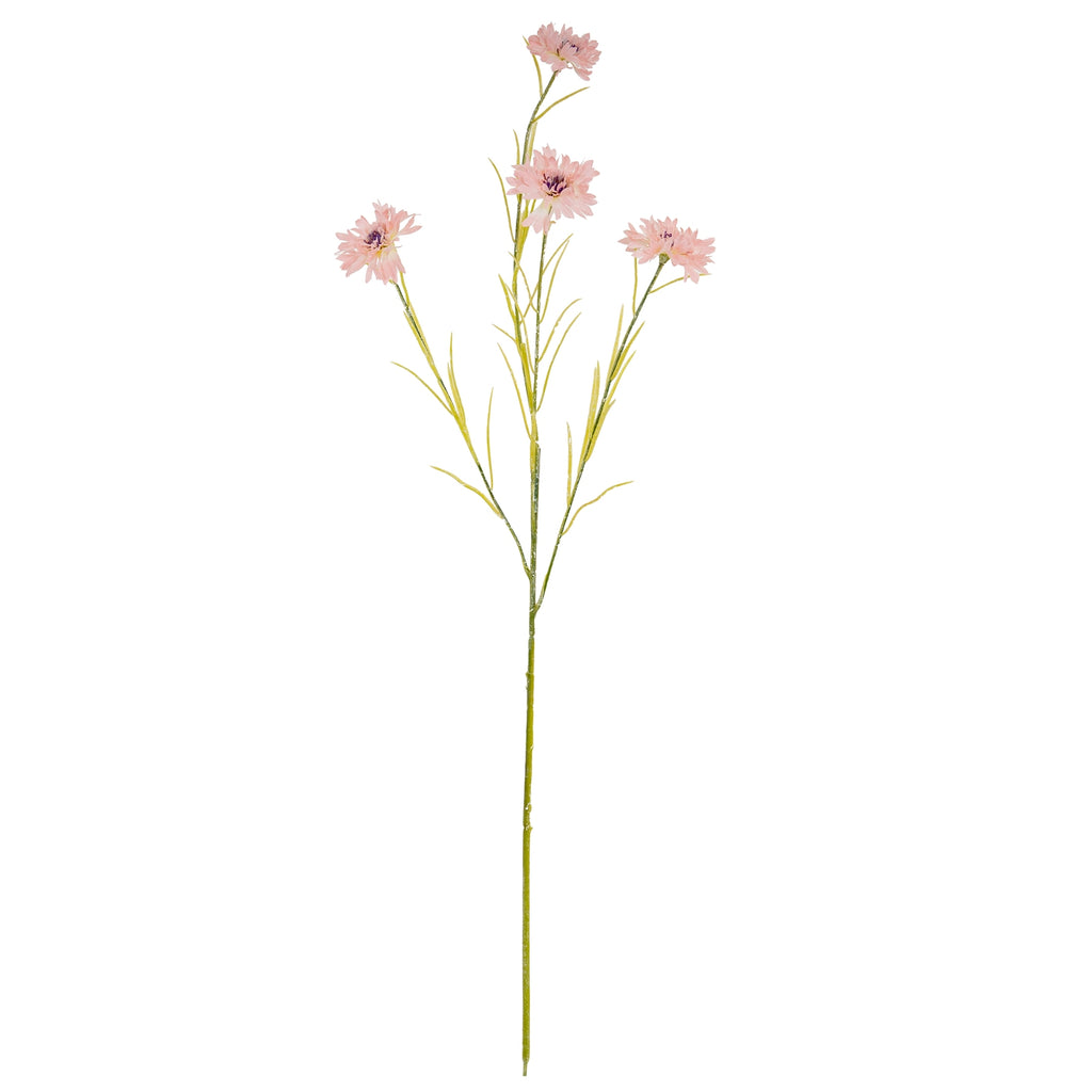 Pink Cornflower Stem - Pink