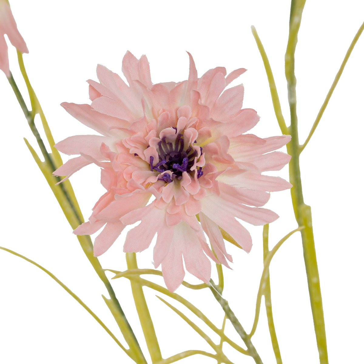 Pink Cornflower Stem - Pink