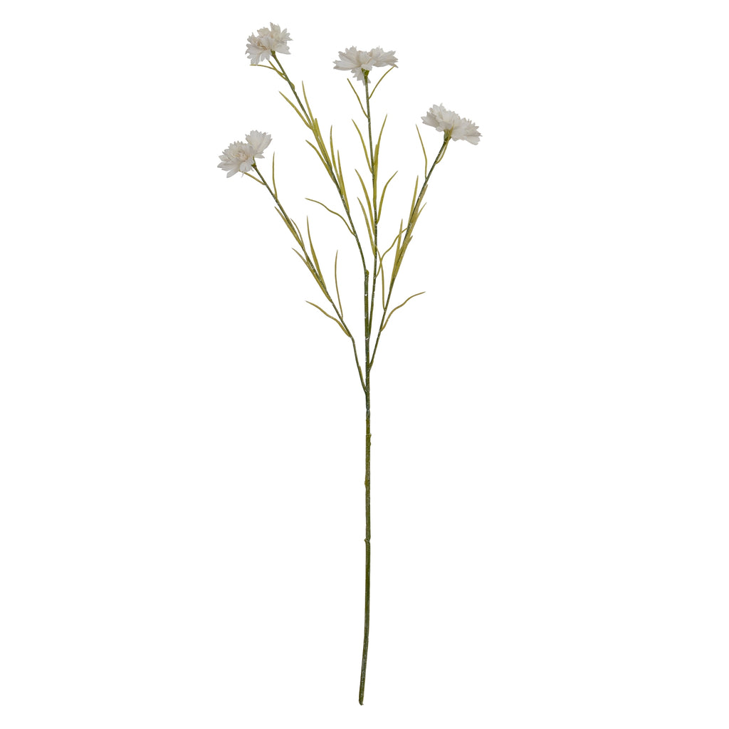 White Cornflower Stem - White
