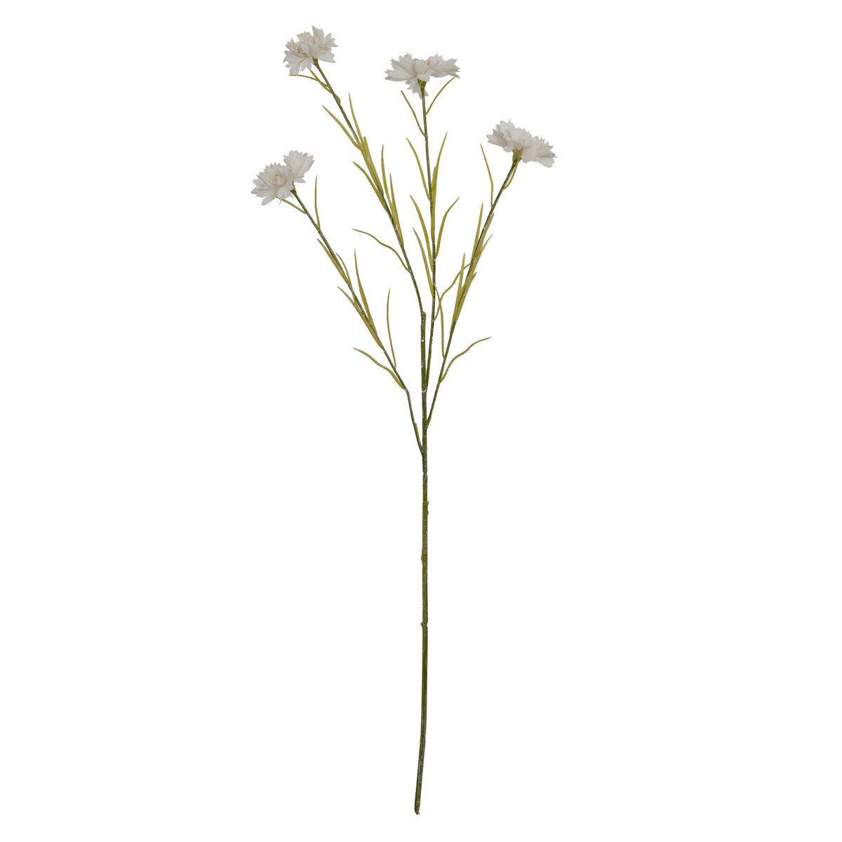 White Cornflower Stem - White