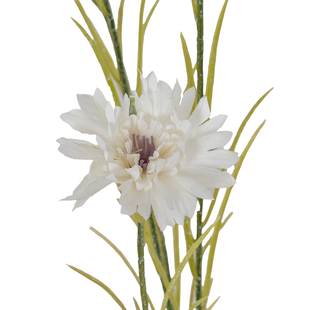 White Cornflower Stem - White