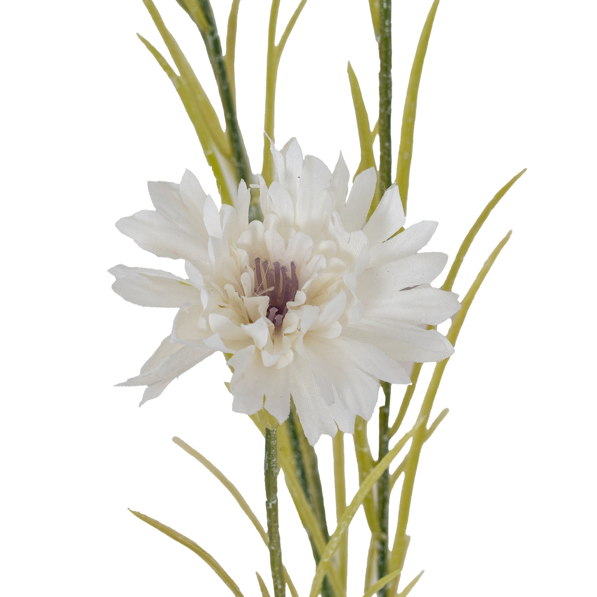 White Cornflower Stem - White